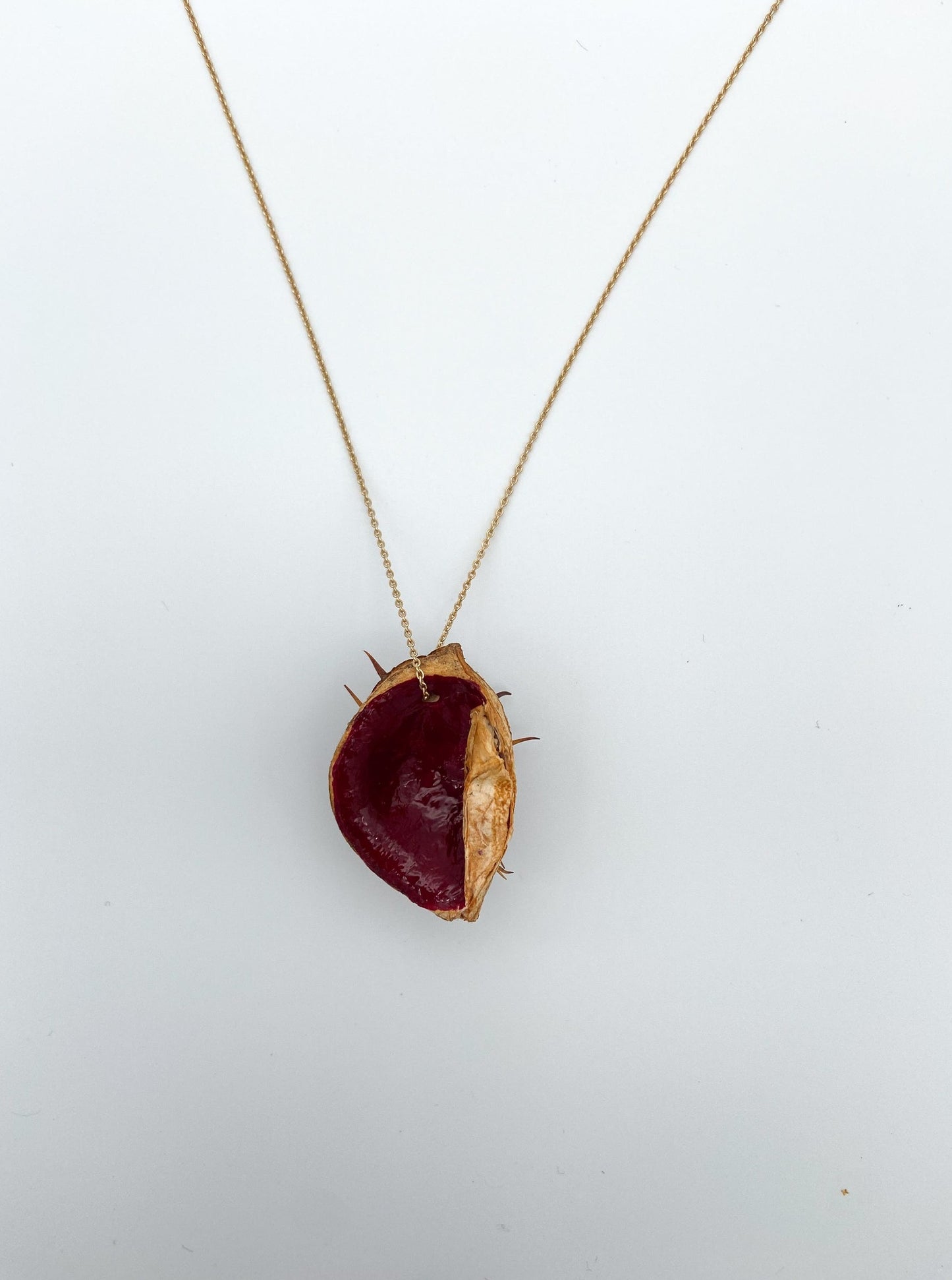 Chestnut shell with gold chain, red