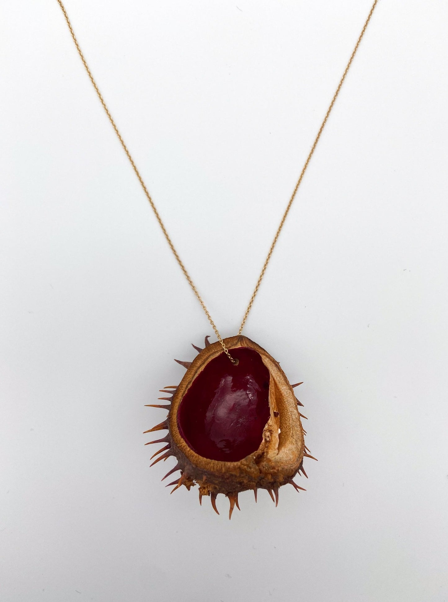 Chestnut shell with gold chain, red