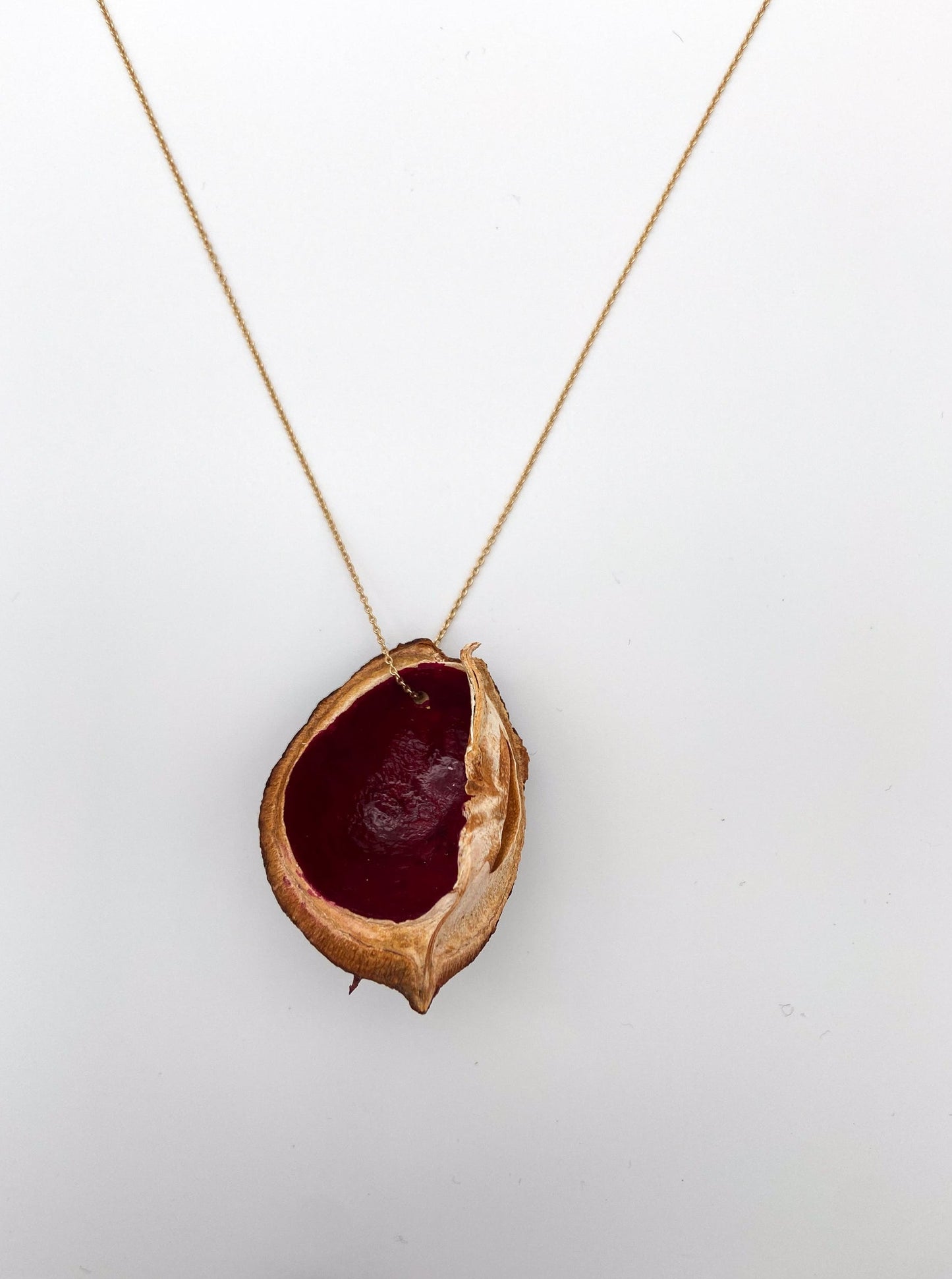 Chestnut shell with gold chain, red