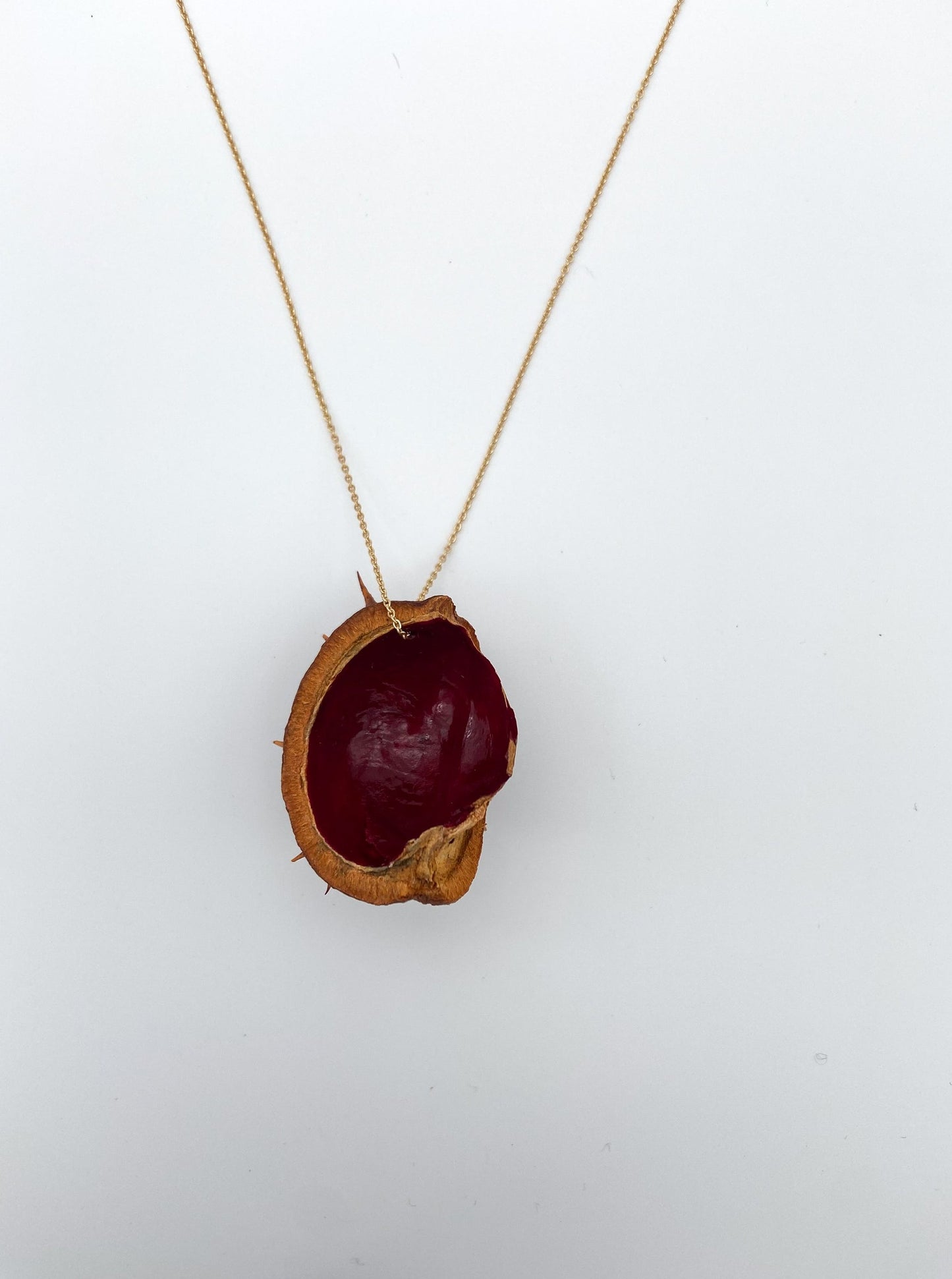 Chestnut shell with gold chain, red