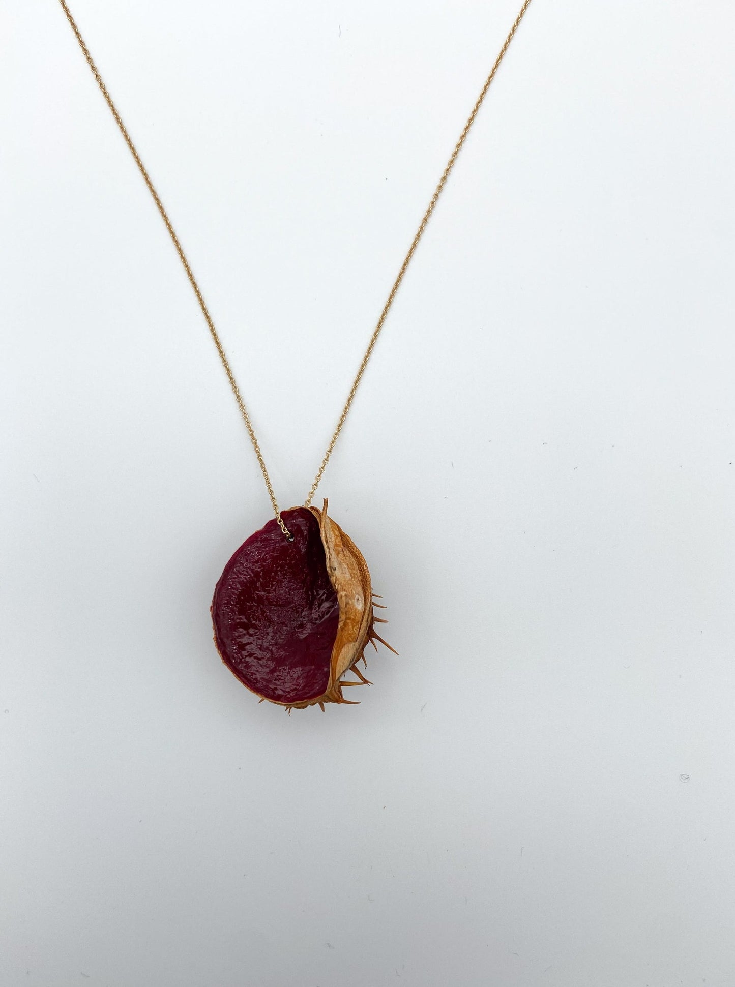 Chestnut shell with gold chain, red