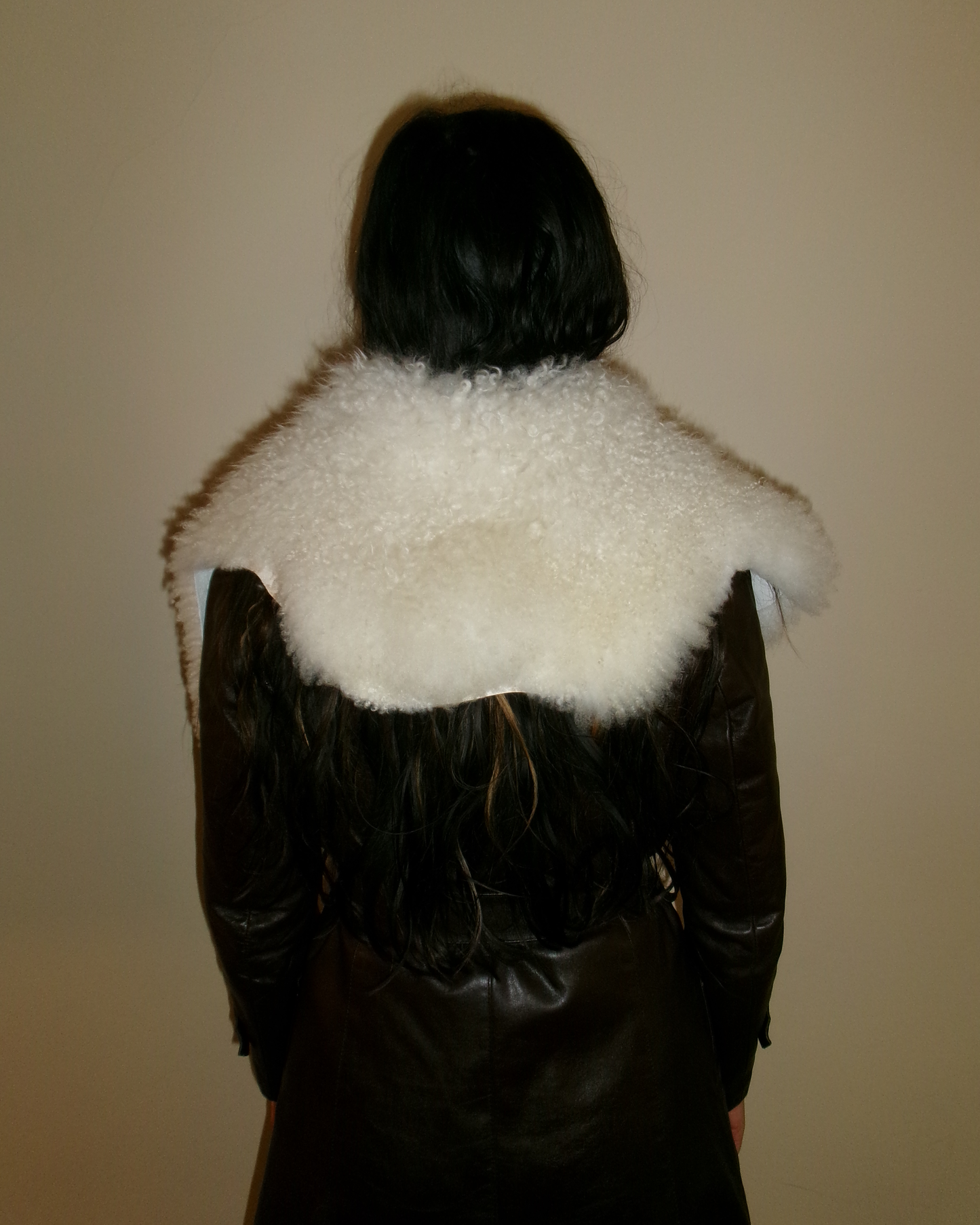 Sheepskin collar v1