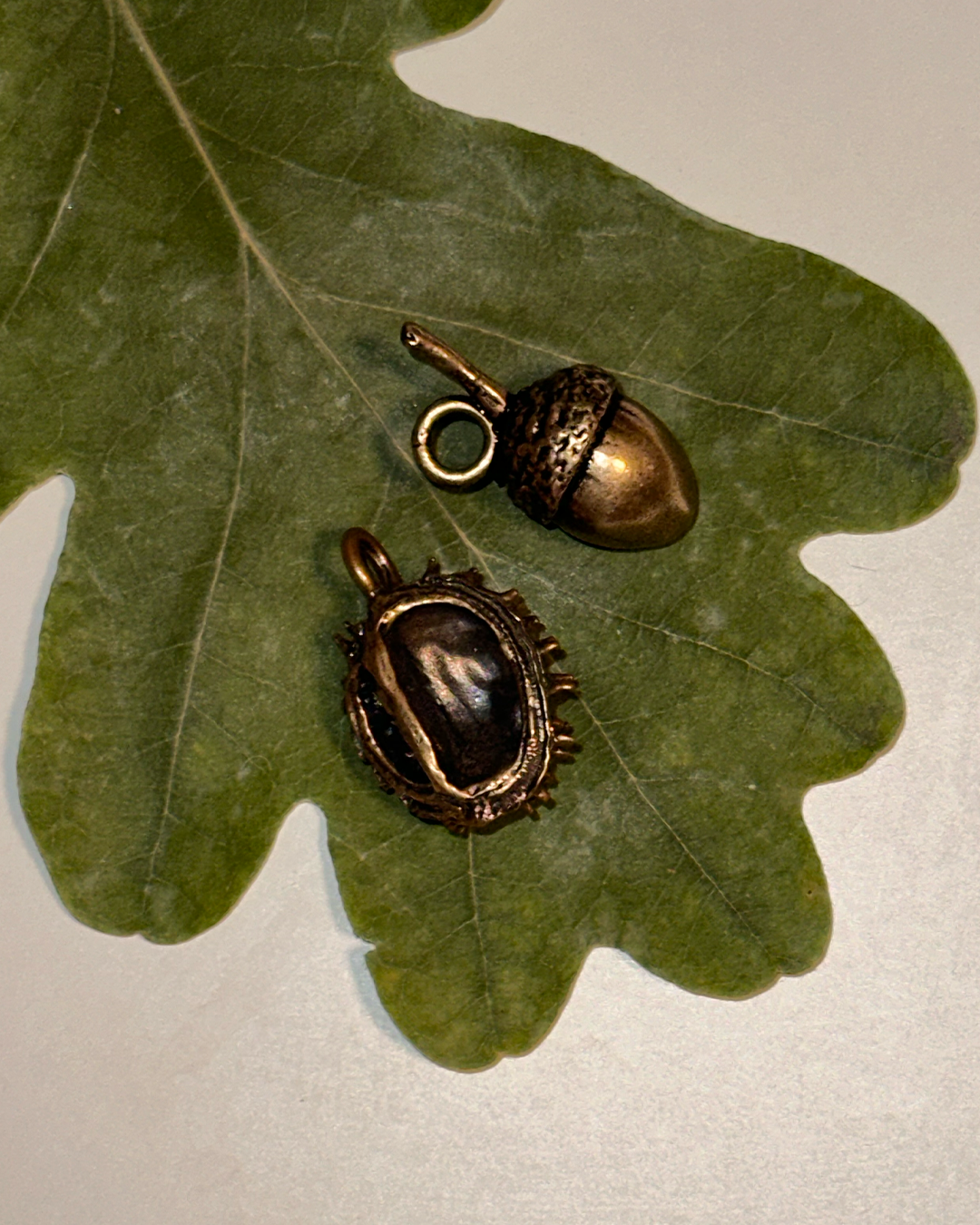 The Duo: Acorn + Chestnut